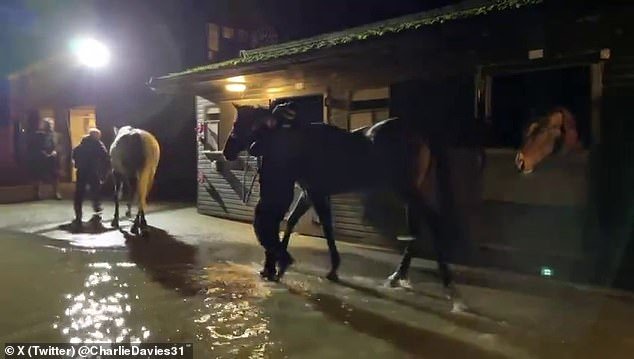 Six horses had to be evacuated, but Nicholls said their safety was never in danger