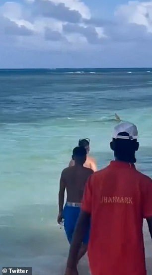 Onlookers could be seen watching as the shark made its way to the shore of the beach