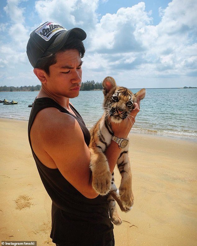 The prince is pictured holding a tiger cub while on holiday in an exotic location