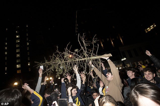 Some Michigan students toasted the victory by carrying a tree during the festivities