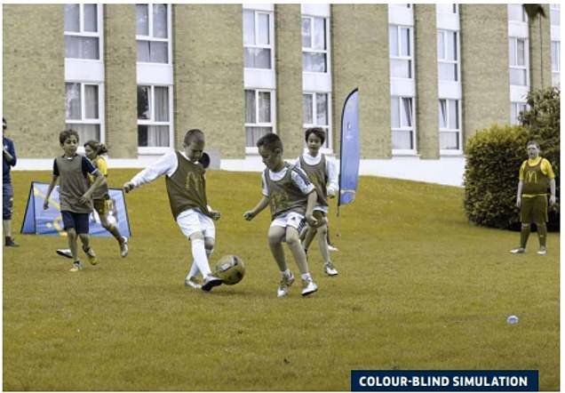 1704893068 990 How colour blind people see football Pictures show how shirts
