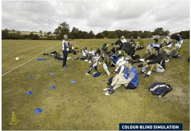 1704893095 154 How colour blind people see football Pictures show how shirts