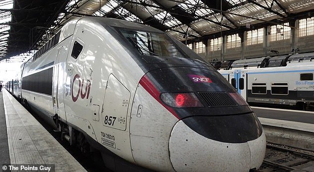 TGVs between Paris and Marseille reach speeds of up to 320 km/h.  Nicky's train is pictured above