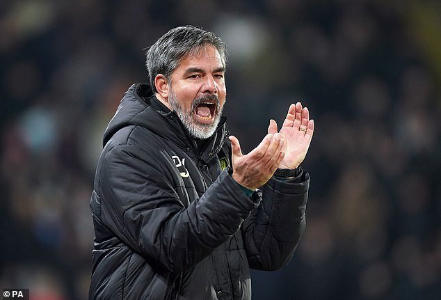 This was far from pretty and far from convincing by Norwich, but David Wagner is unlikely to care