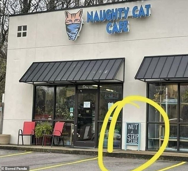 You have been warned!  Elsewhere, a cat cafe in Tennessee clearly had some unsavory customers, looks like they should put this sign out front