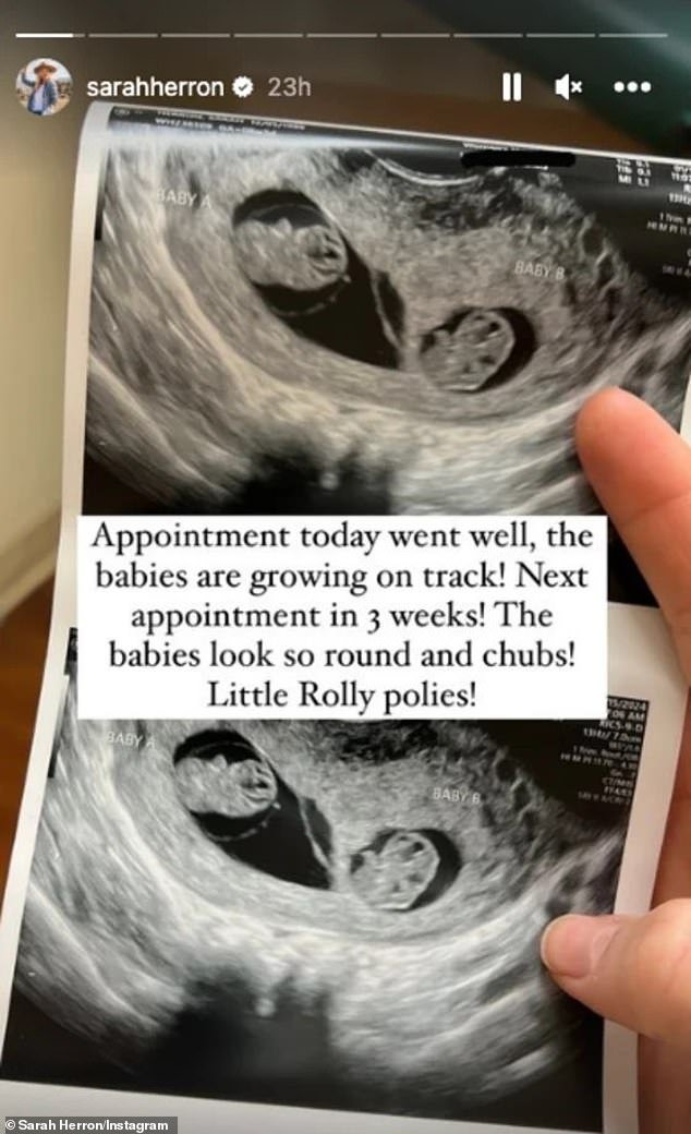 'Today's appointment went well, the babies are growing well!  Next appointment in 3 weeks.  The babies look so round and chub!  Little Rolly pollies!'  she wrote