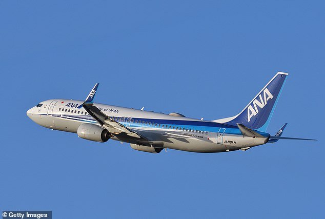 The passenger on the ANA plane said he took sleeping pills before allegedly sinking his teeth into the crew member's arm while 'heavily drunk', causing her minor injuries (File Photo)