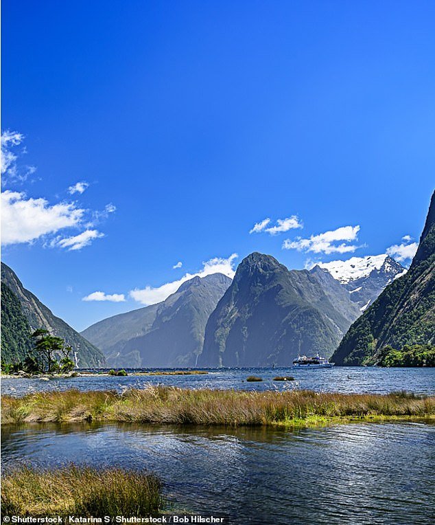 The 10-year-old who was on holiday with her family in Fiordland National Park (pictured) fell into the creek