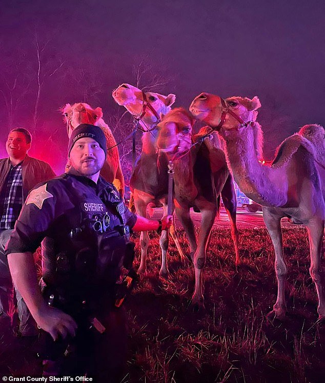 Sheriff's Office deputies posed with the exotic animals after rescuing them from the fire