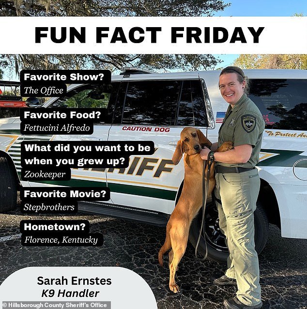 Sheriff Chad Chronister said, “Our team HCSO K9 Unit has once again proven its invaluable role in our community,” citing the success of Mary Lu and Deputy Ernstes