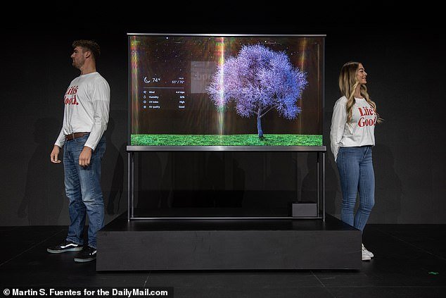 LG and Samsung have announced plans to launch fully transparent televisions in what could be the next leap in TV technology (Photo: LG's new TV is showcased at CES in Las Vegas)