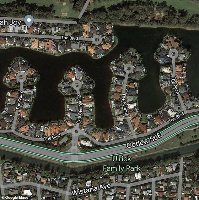 The eagle-eyed Aussie posted the penis-like landmasses sitting on a canal to a Facebook Google Earth page in early January