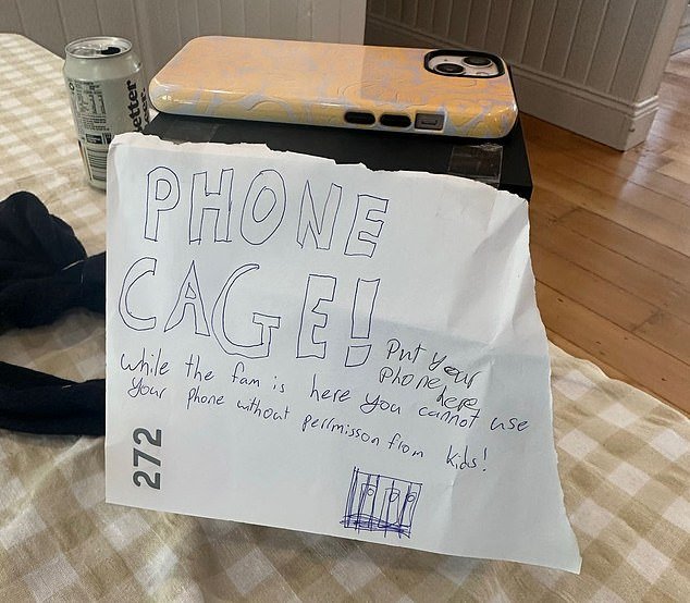 A Newcastle family enjoyed a phone-free Christmas after their children made a 'phone cage' (above)