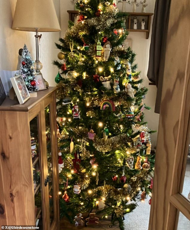 The owner of this beautiful Christmas tree told