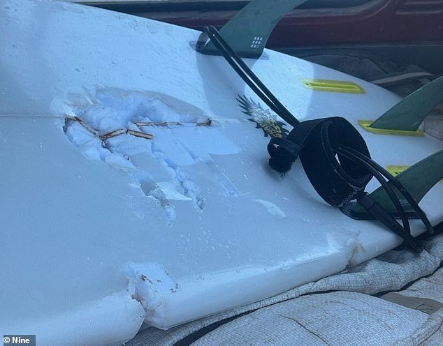 A photo of the man's surfboard shows chunks of it being bitten off during the attack