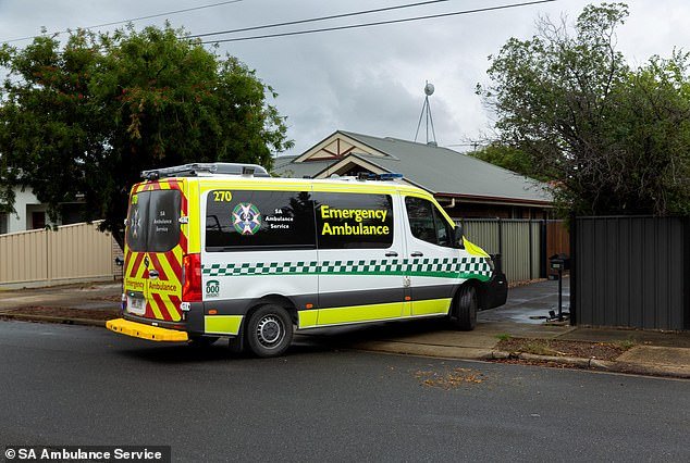 The SAAS introduced the taxis in 2020 and the service started in 2021 with ambulances (pictured) bogged down by a major staging problem, forcing the vehicles to be docked at hospitals