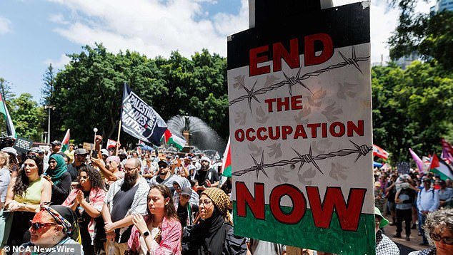 Hundreds gathered in Sydney on Saturday for the first pro-Palestinian rally (above) of the year