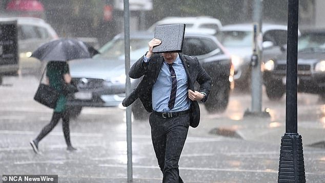 An office worker in Brisbane tries to protect himself from the deluge