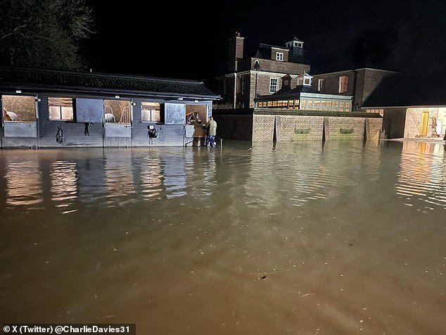 Champion trainer Paul Nicholls said the water in the flooded stables was five feet deep