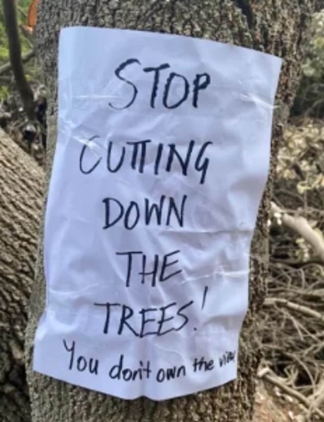 Lake Macquarie City Council was first made aware of the felled trees by the local man who filmed at the scene and posted the video to Facebook.
