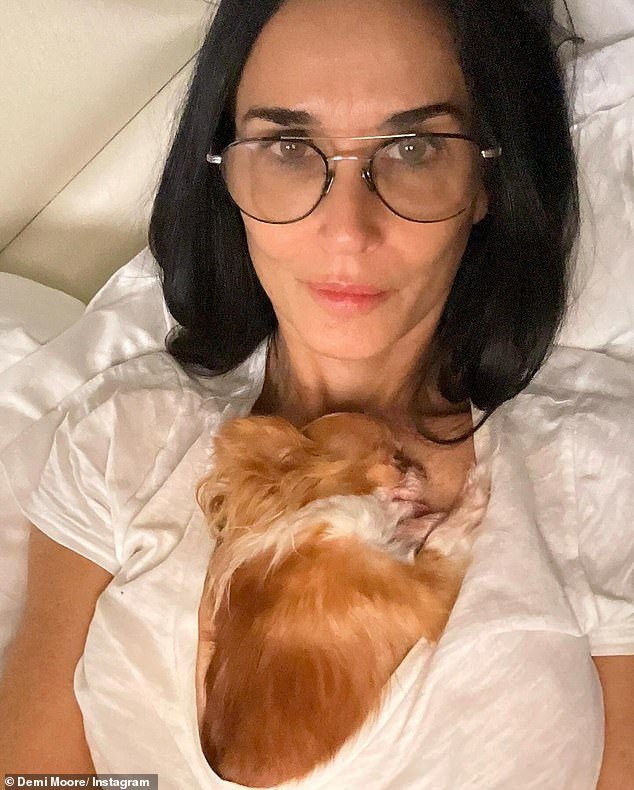 The star was also seen with her favorite little man, Pilaf, tucked into her white T-shirt for a nap.  Paw pride was strong for GI Jane star Moore, who was formerly married to Bruce Willis and Ashton Kutcher