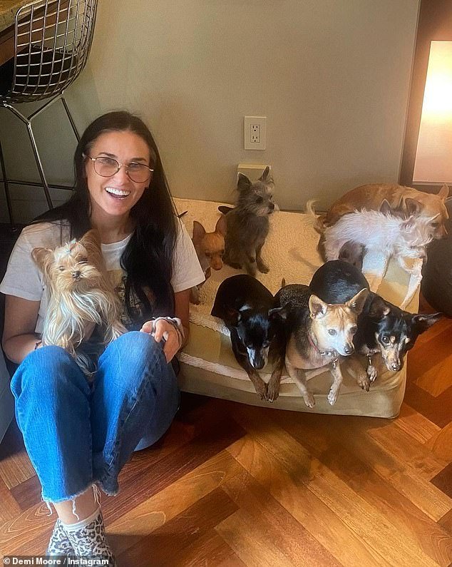 Moore seen in 2021 with all nine of her furry little friends