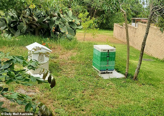 One resident said he had permission from the council to keep two of his beehives on the reserve and has been supplying honey to his neighbors for years