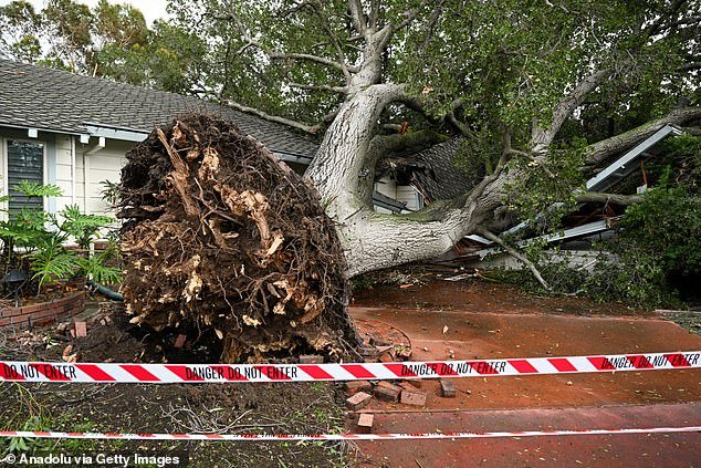 The storm tore through Northern California over the weekend, killing three people who were crushed by falling trees, before stalling to the south