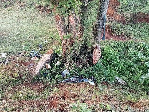 Lagat shared two images of a tree and what appeared to be the debris of a vehicle nearby