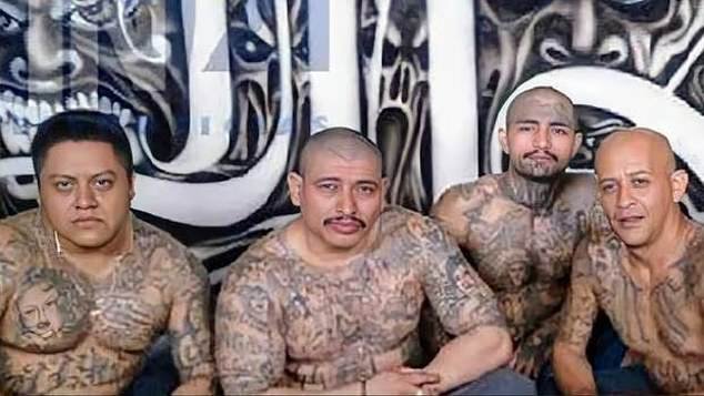 MS-13, one of the largest Hispanic gangs operating in the US, started as a street gang in Los Angeles