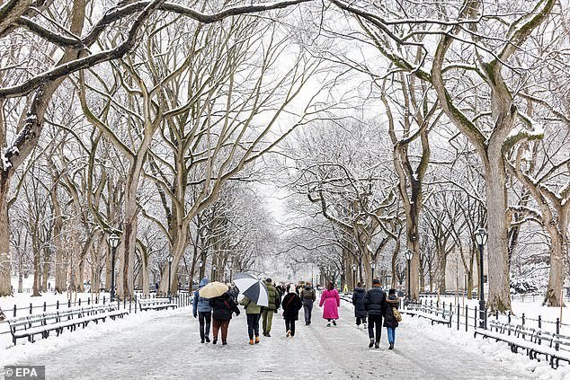 New York City experienced its heaviest snowstorm in two years on Tuesday, with Central Park collecting 3.2 inches of snow as of 1 p.m.