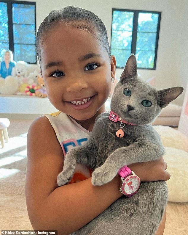 The star, who - along with her famous family - has previously been caught editing photos, posted a photo of her pet Gray Kitty to mark the festive day of love, but her followers were quick to point out the 'blurred' whiskers and the cat's different eye color.