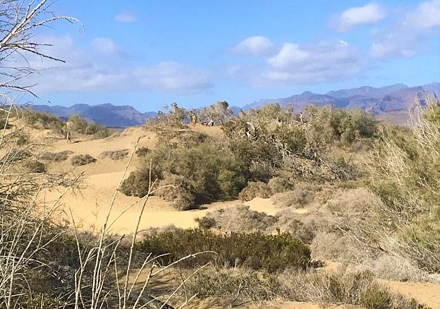 Authorities have vowed to take extra tough action against visitors who break the law by having sex in the dunes, which could cause damage to the stunning but fragile ecosystem