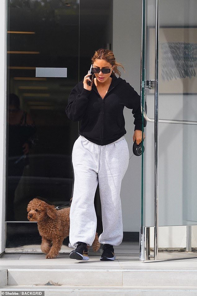 Larsa Pippen was pictured walking her dog in downtown Los Angeles on Sunday