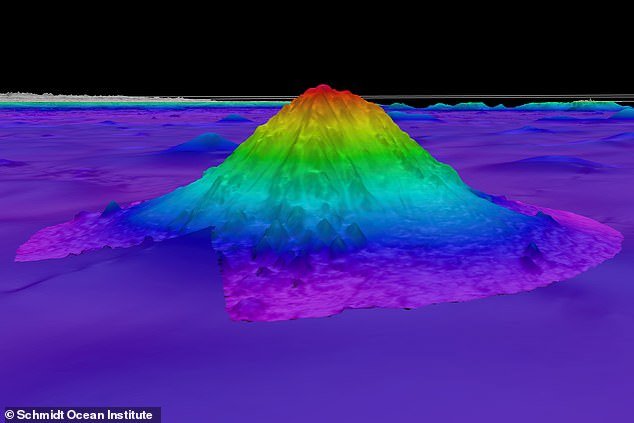 It covers almost 70 percent of the Earth's surface, yet only five percent of our world's ocean has been explored.  Now scientists exploring the waters off the coast of Chile have discovered a huge underwater mountain that is home to an array of weird and wonderful creatures