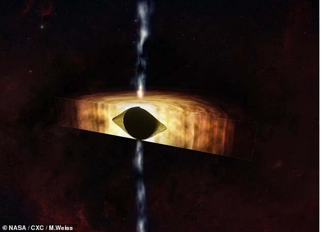 NASA has released an illustration showing the cross-section of the football-shaped supermassive black hole surrounded by swirling material.