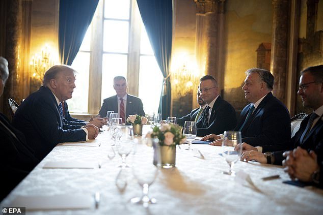 Trump and Orbán are talking during their meeting at Mar-a-Lago on Friday