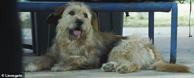 The dog-led film generated $14.6 million during its two weeks in theaters on a budget of $19 million