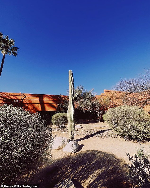 As part of her photo series, she also posted a photo of the landscape outside, with a tall cactus plant as the focal point