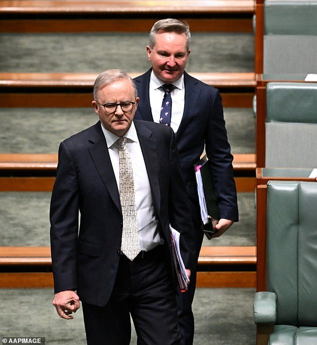 Prime Minister Anthony Albanese got involved in smoothing out the plan after a similar move in the US by Joe Biden to relax targets for makers of larger vehicles