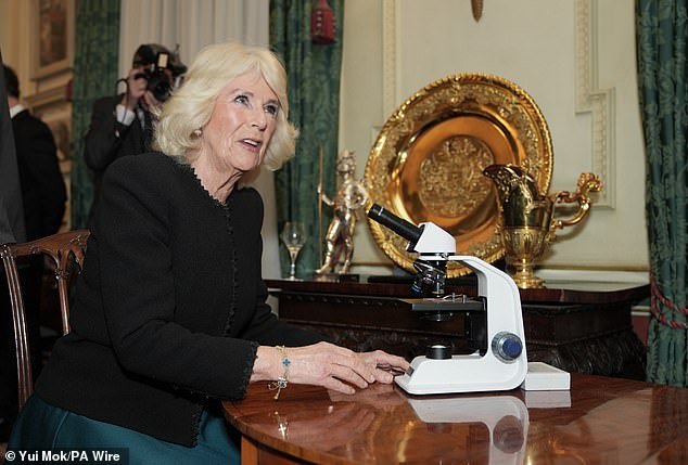 Queen Camilla looks into a microscope during a reception to celebrate the findings of a new study commissioned by the charity The Queen's Reading Room