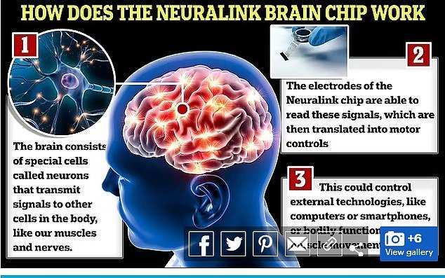 Neuralink brain chips send signals to the body's nerves, which are translated into motor controls