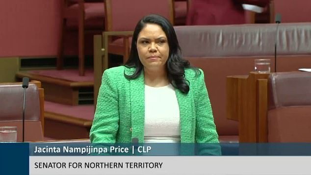 Senator Jacinta Nampijinpa Price says money spent on Alice Springs is not getting results, an audit should take place