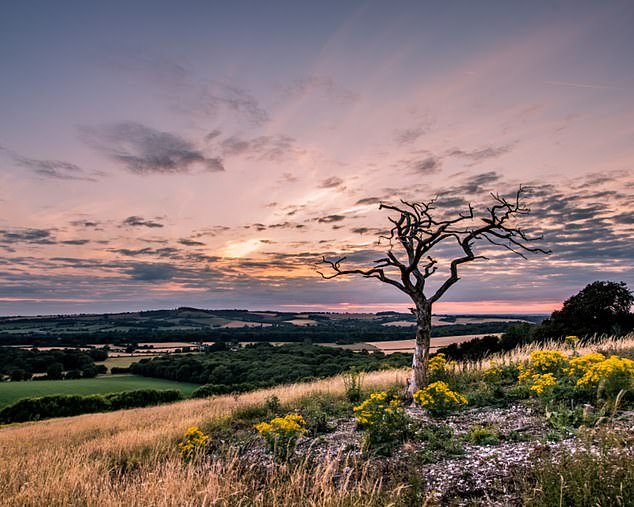 Pictured here is Old Winchester Hill in England's South Downs National Park.  The site is both a nature reserve and an Iron Age hillfort, notes Ordnance Survey, which adds that the area has its own flock of Herdwick sheep, a breed usually found only in the Lake District.  OS raster reference: SU 64077 20578