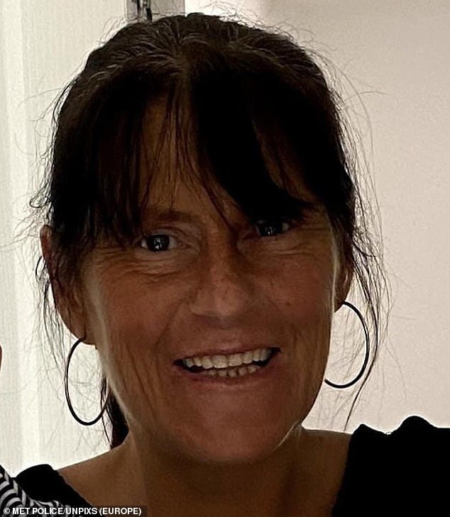 Mrs Rawlings (pictured above), 45, from Chelmsford, Essex, was found dead in Little Heath, Romford, in May by a man walking his dog