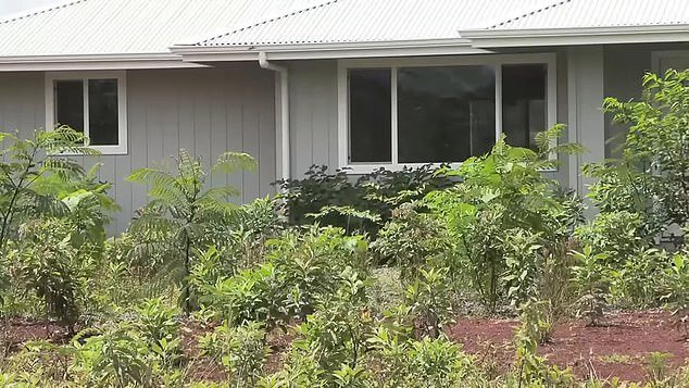The confusion arose when local developer Keaau Development Partnership hired PJ's Construction to build about a dozen homes on land the developer purchased in the subdivision — but the company built one on Reynolds' lot.