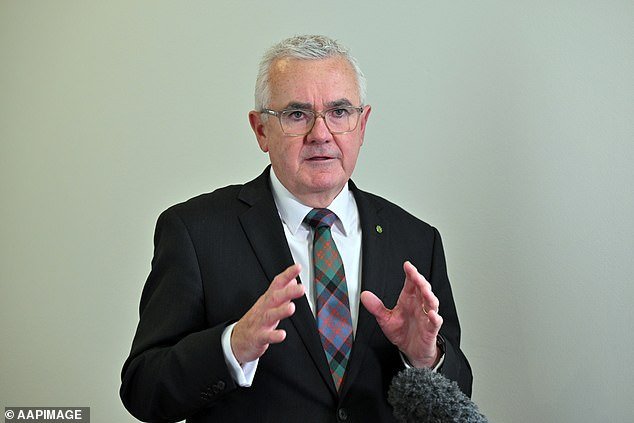 Federal MP Andrew Wilkie (pictured) has made sensational allegations in federal parliament