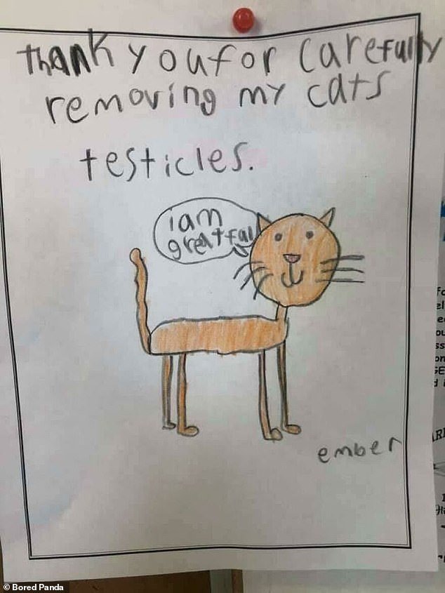 A heartfelt thank you note to the vet for performing purrfect surgery on this child's cat, shared by a veterinary practice in Kigali, Rwanda