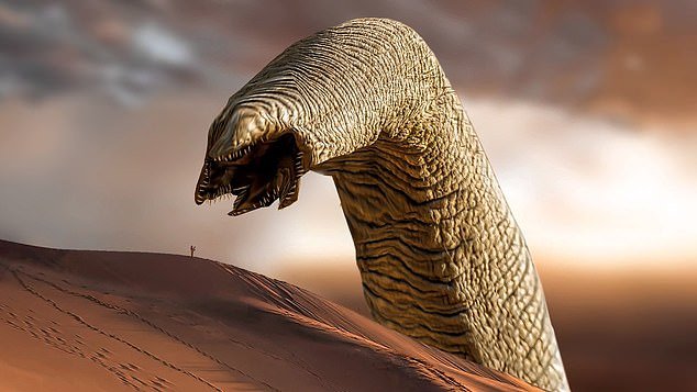 “Looks like the sandworm from Dune,” one person wrote.  “So that's where Frank Herbert got his sandworms,” another added