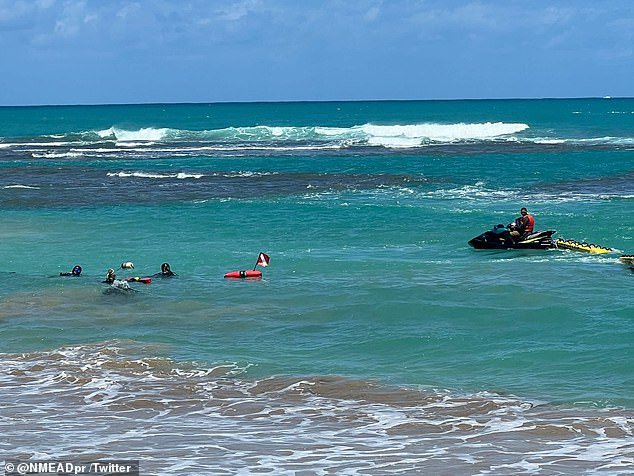 The father was plucked unconscious from the water at Montones Beach in Isabela before being pronounced dead